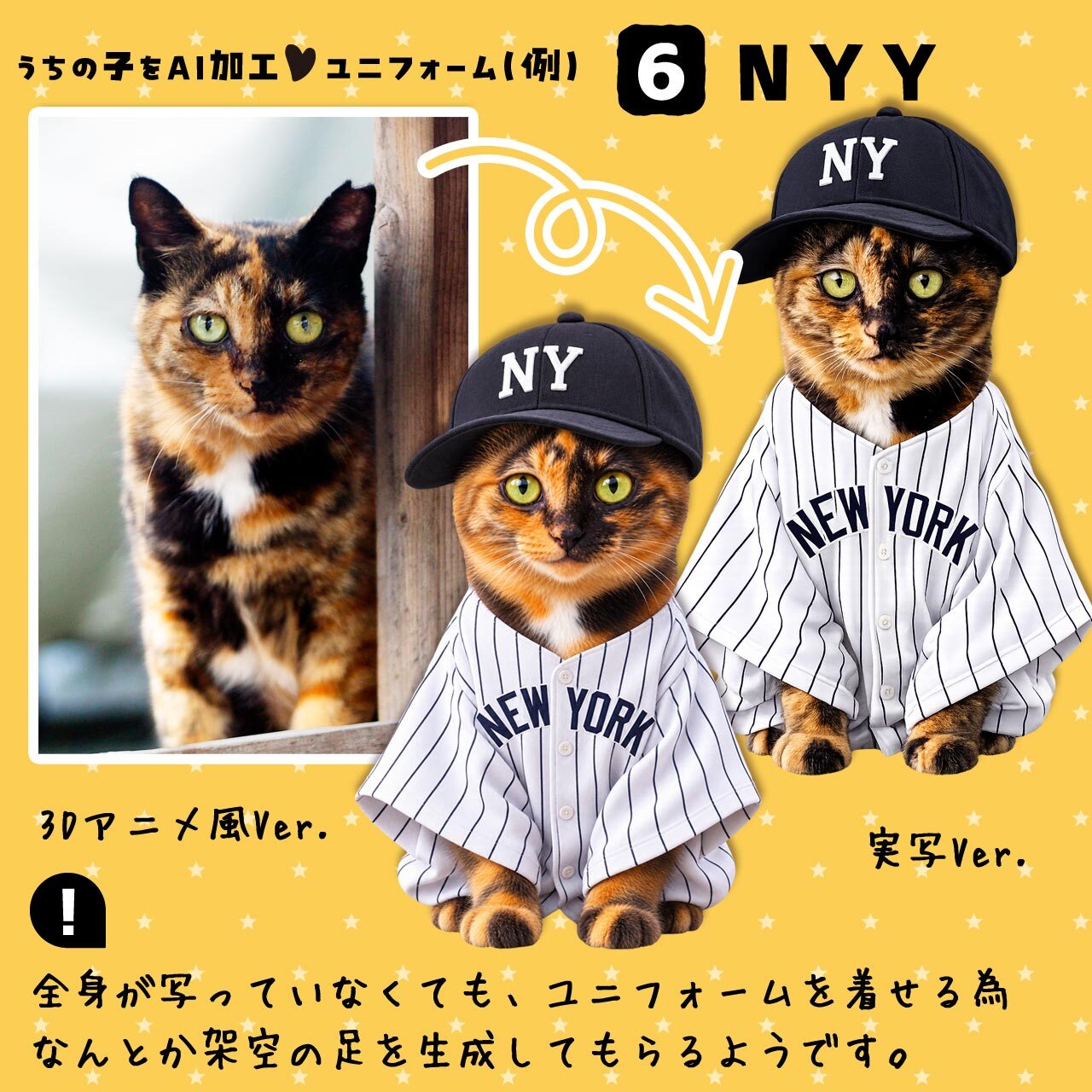 ヤンキースファンの猫さん