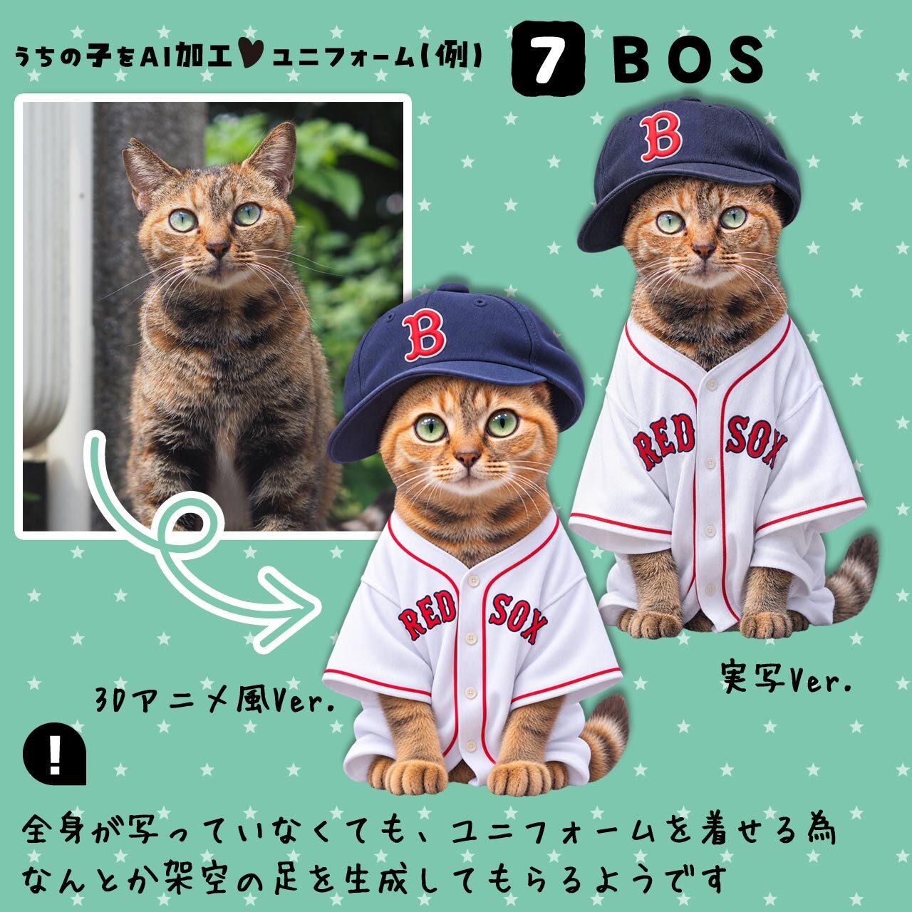 レッドソックスファンの猫さん