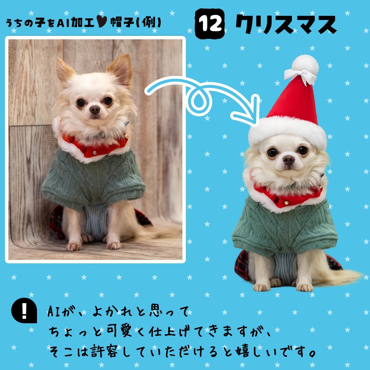 クリスマス帽子★ワンちゃん