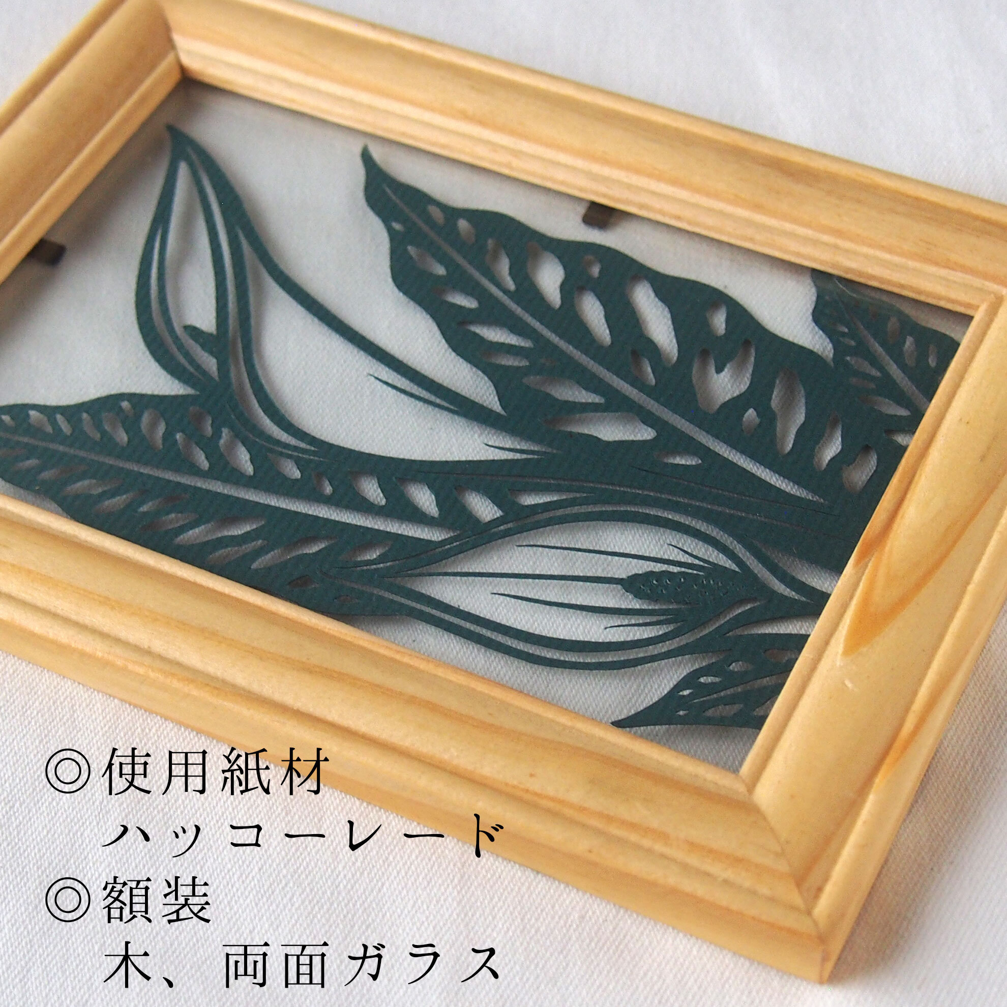 植物のカラーをモチーフにしました