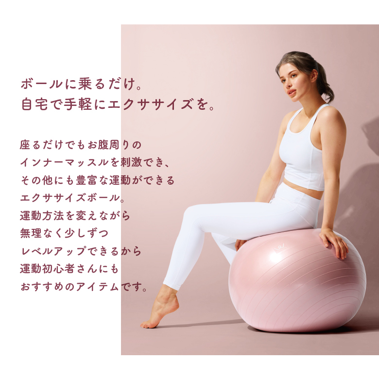 エクササイズボール55cm WBF055 | ALINCO FITNESS