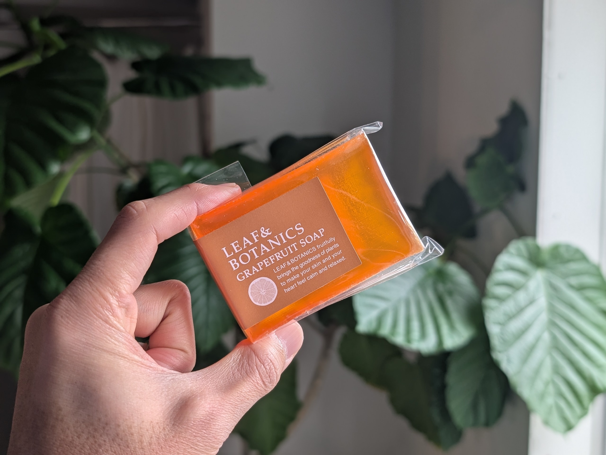 心地よい柑橘系の香り。保湿作用を持ち、乾燥をやわらげます。