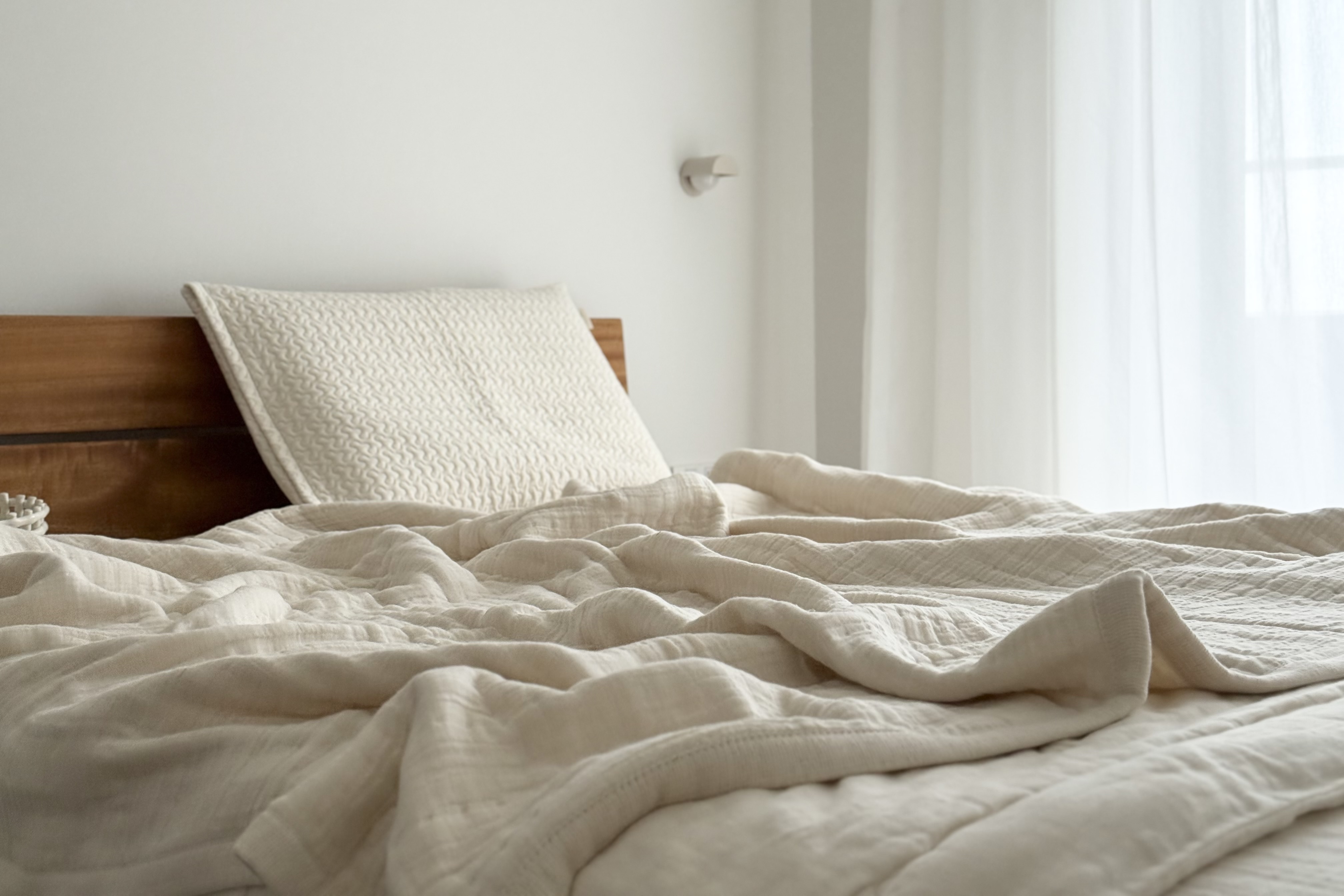 スノーアイボリー