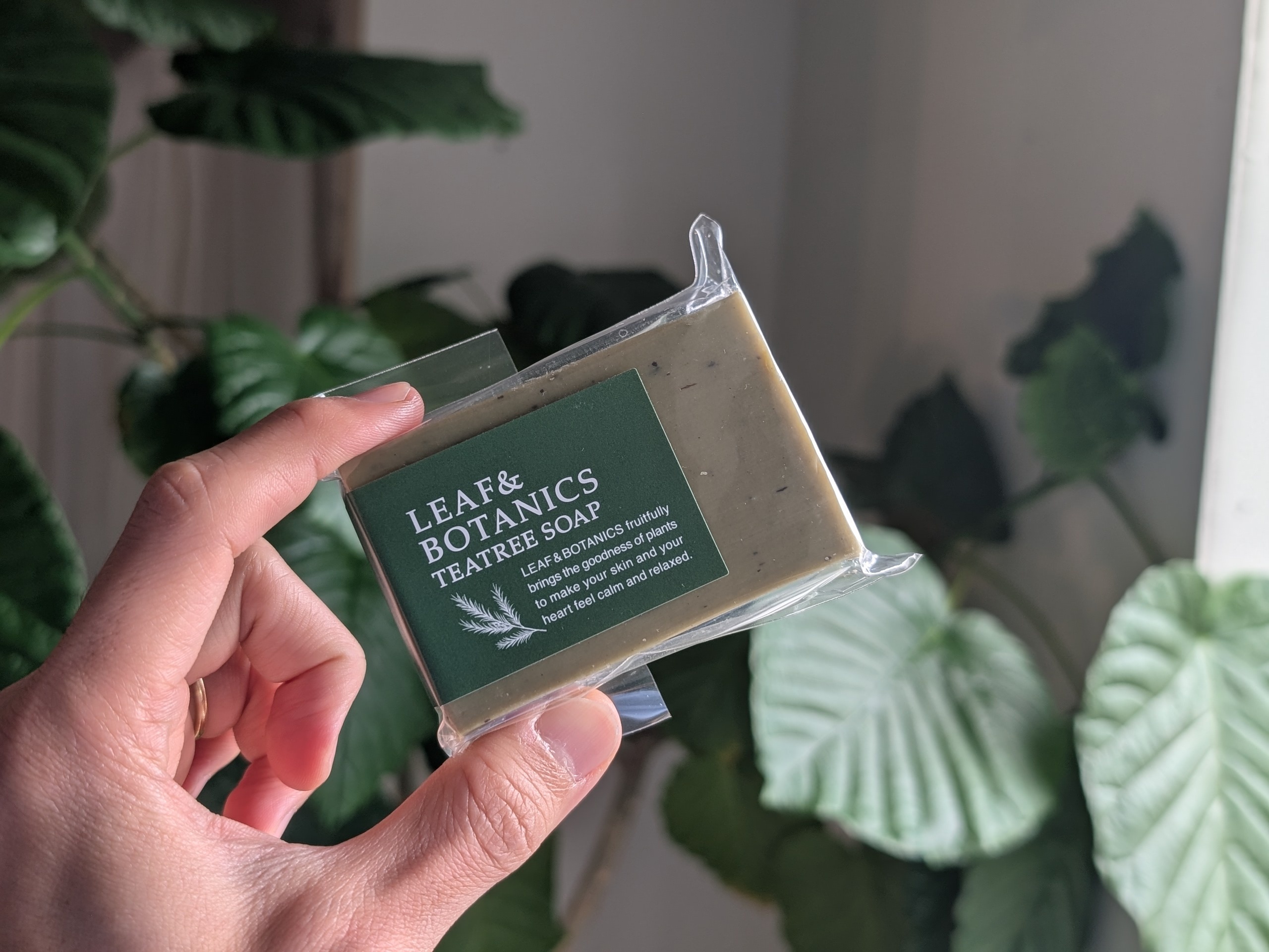 清らかな樹木の香り。肌を引き締め毛穴の汚れを吸着します。