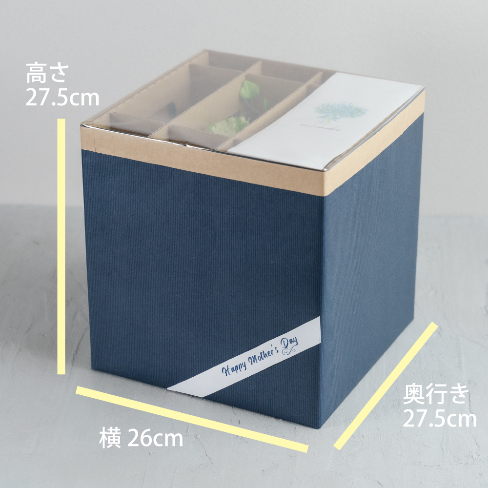 パッケージサイズ