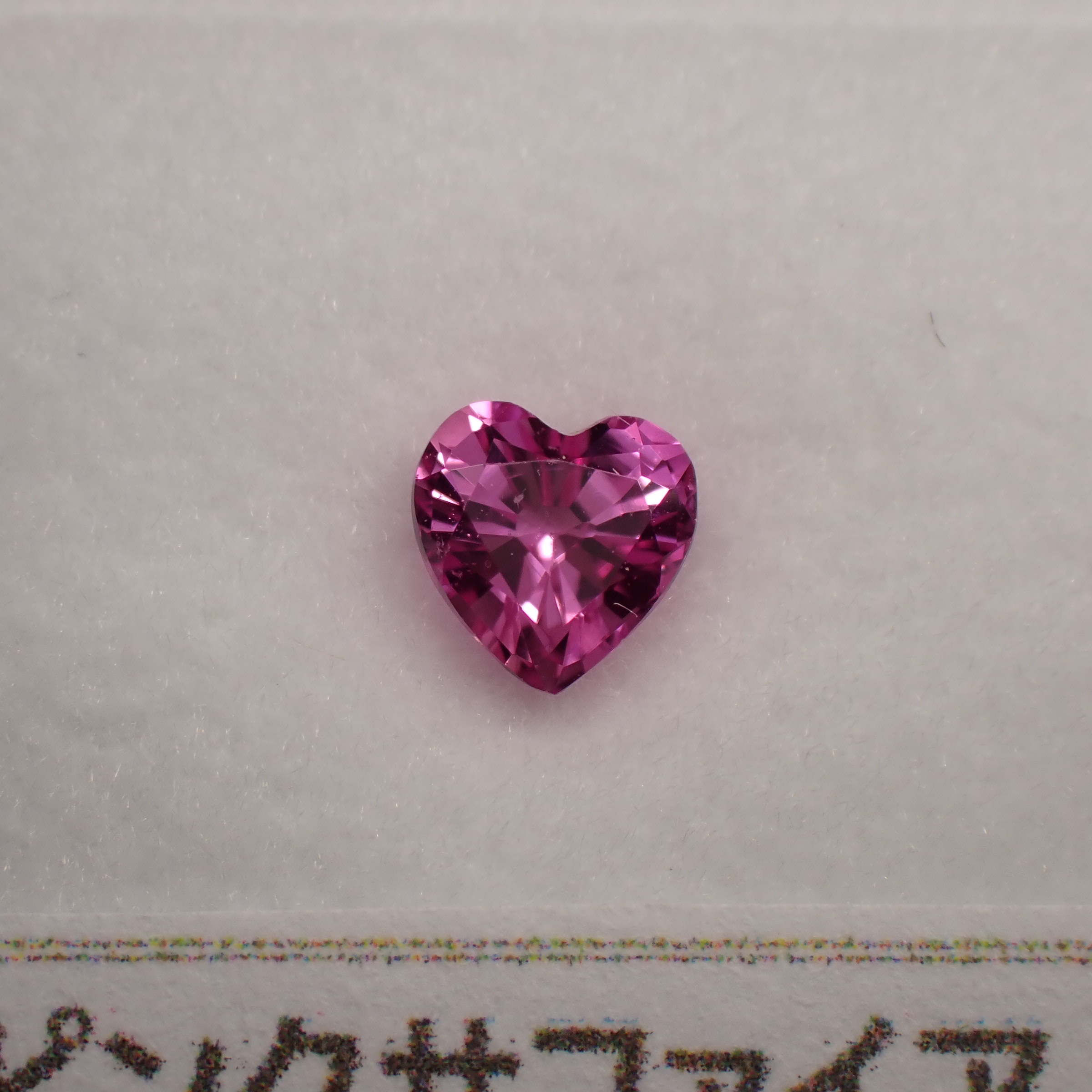 Vividカラー!?裏側から色だまりも楽しめる☆パープリッシュ Vividカラー!?裏側から色だまりも楽しめる☆パープリッシュ