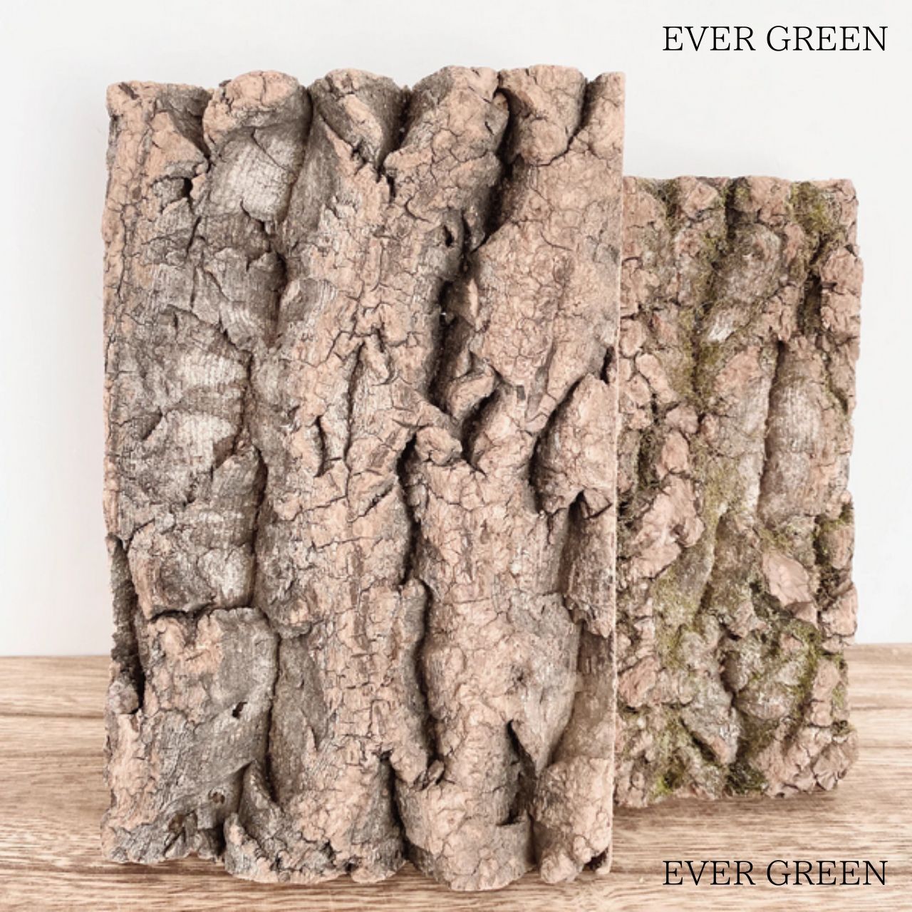 コルク樹皮の着生板 A064 | EVERGREEN エバーグリーン 植木鉢 花瓶 コルク樹皮の着生板 A064 | EVERGREEN エバーグリーン 植木鉢 花瓶