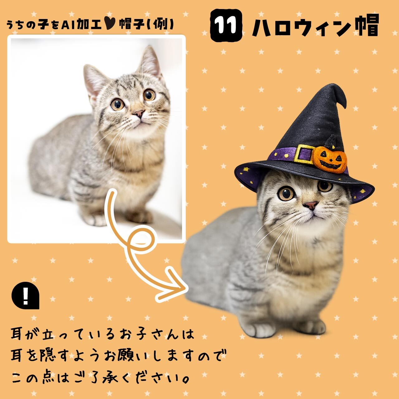 ハロウィンの帽子★猫さん