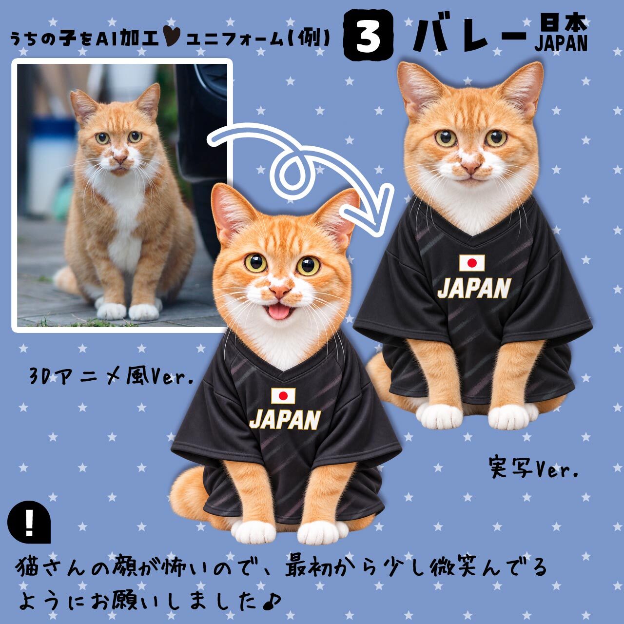 バレーファンの猫さん