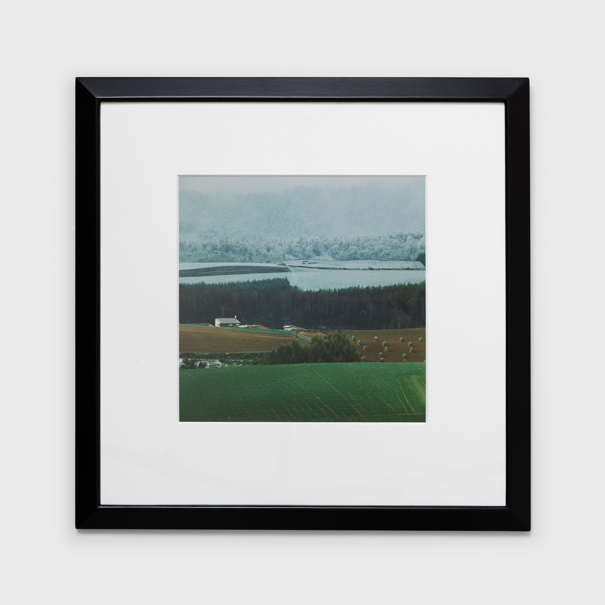 17　降りて来た新雪　1985年10月下旬　美瑛町