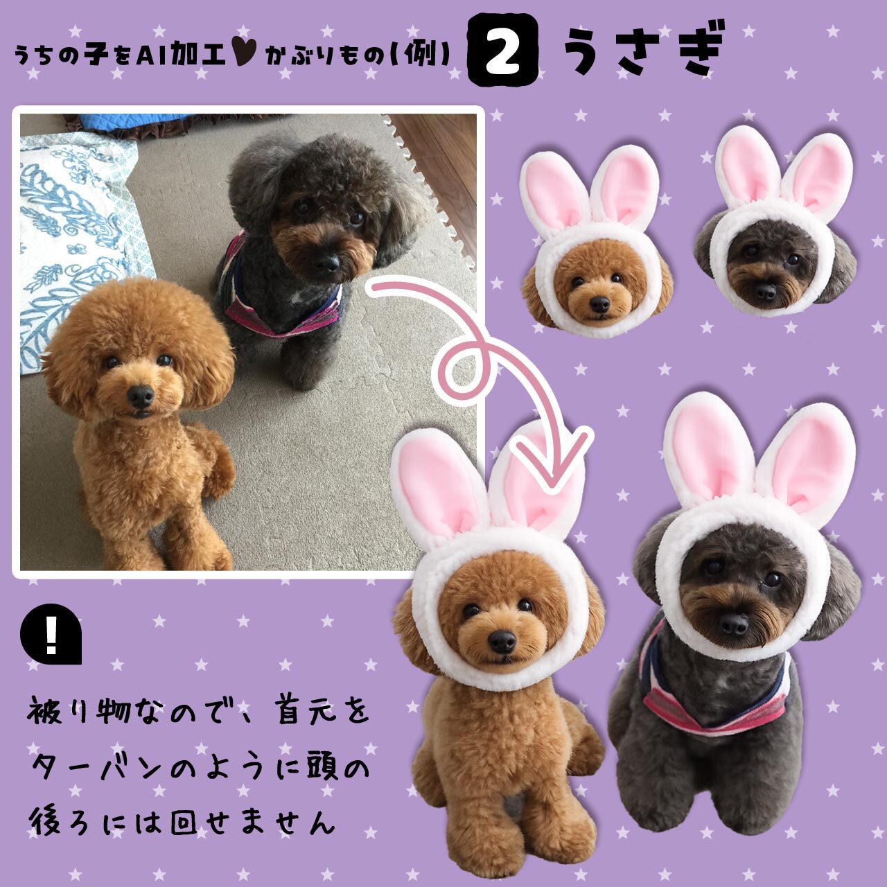 ウサギのかぶりもの★ワンちゃん