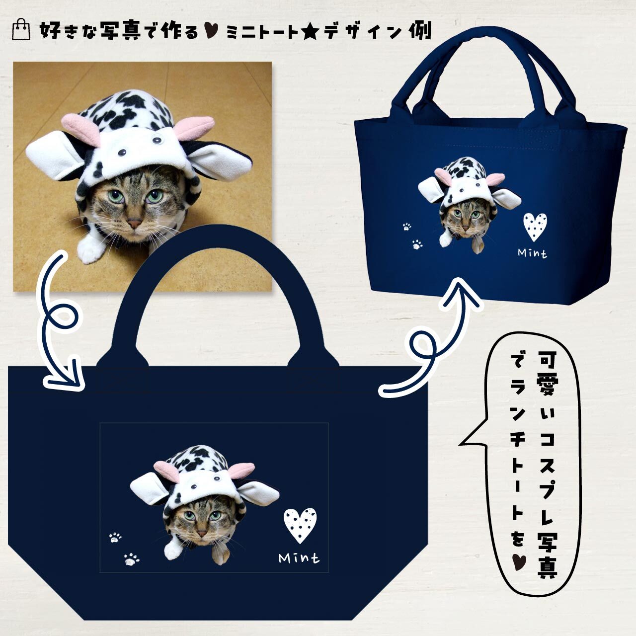 被り物がかわいい猫ちゃんの写真で