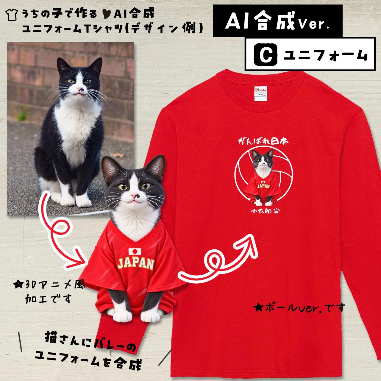 バレーファンの猫さん
