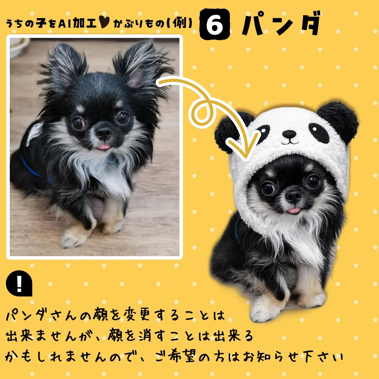 パンダのかぶりもの★ワンちゃん