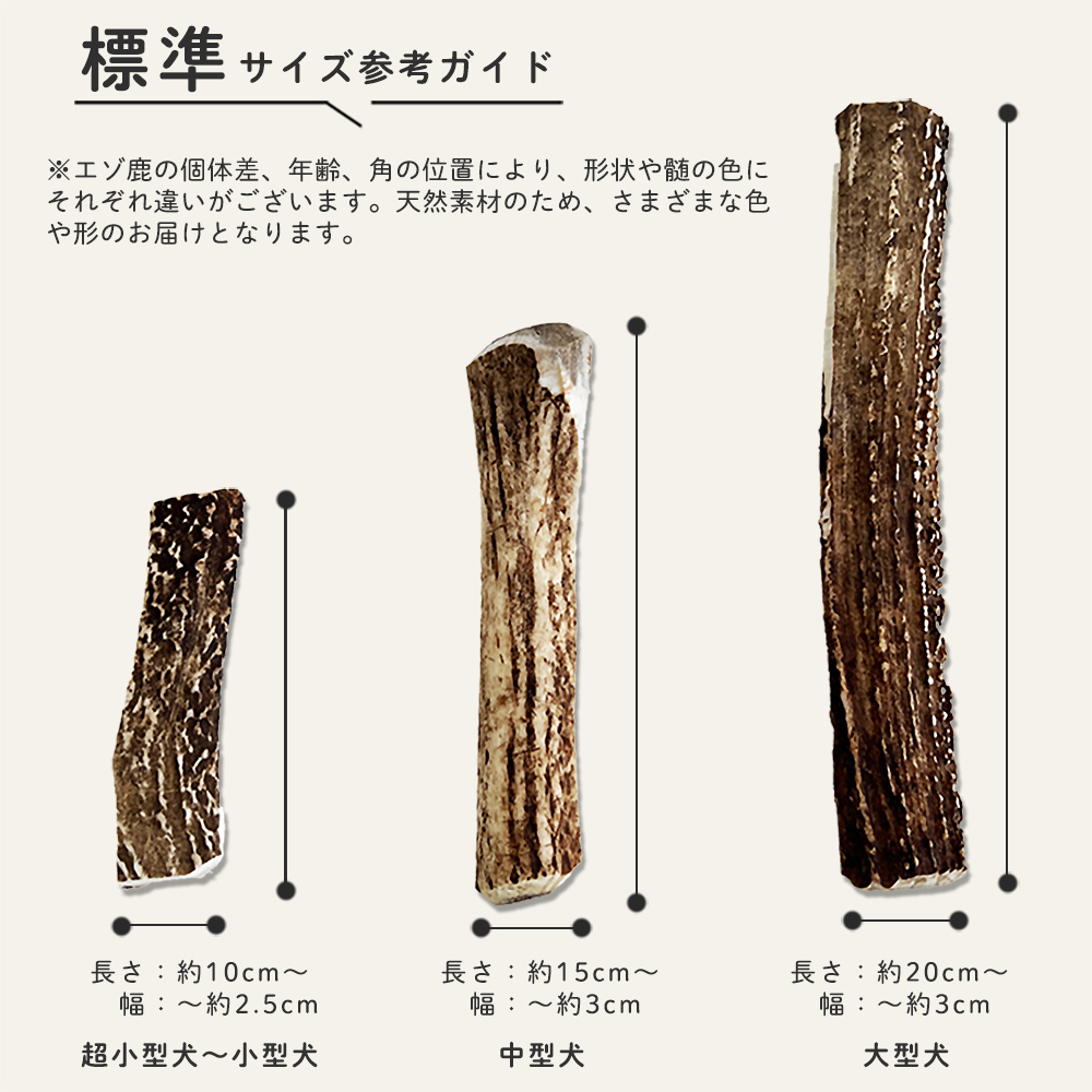 【 標準：サイズ参考 】