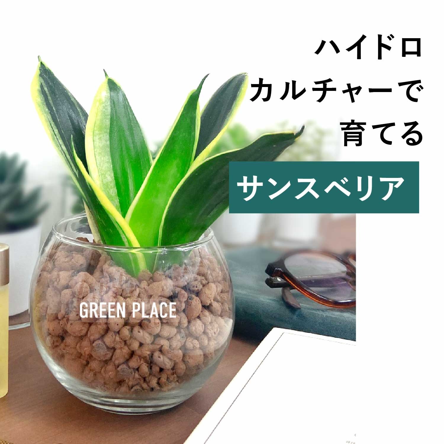 バルーン（丸）型の器