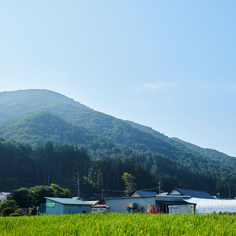 ファームの畑から望むのは、田部地区のシンボル的存在の斎藤山。尾根の重量感が見事。