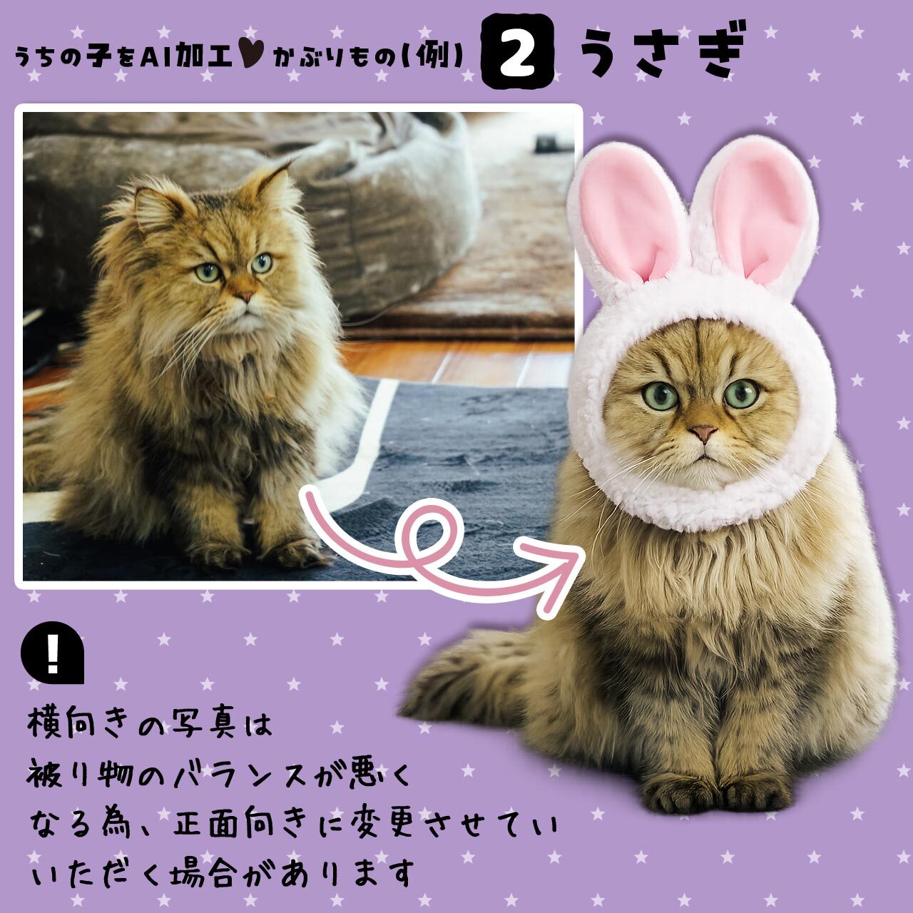 ウサギのかぶりもの★猫さん