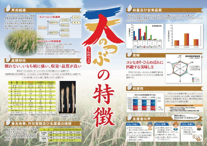 令和6年産 福島県産 天のつぶ 10㎏(5kg×2) | みずほ食糧 令和6年産 福島県産 天のつぶ 10㎏(5kg×2) | みずほ食糧