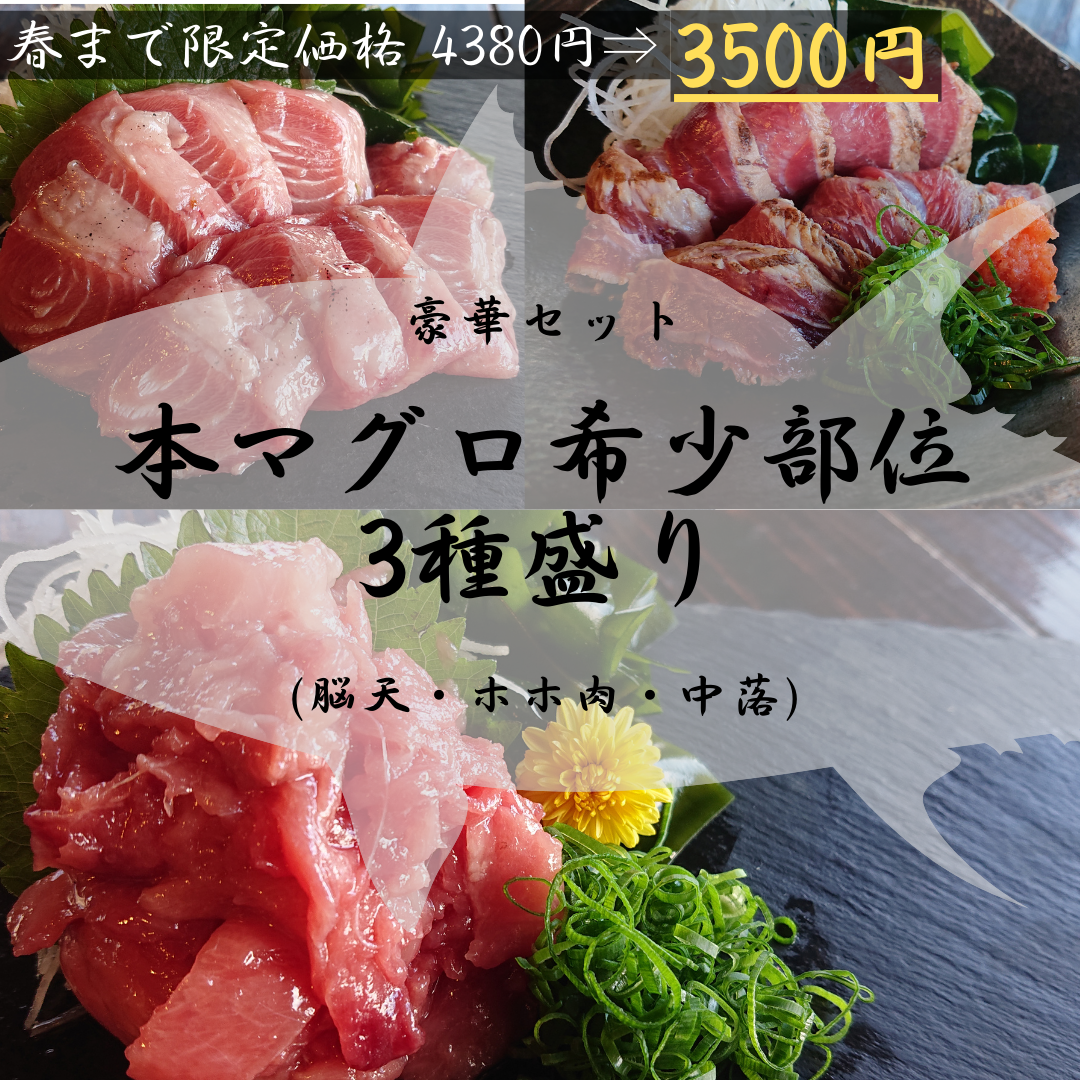 実店舗大人気商品を毎週2食限定 本マグロ希少部位3種盛り Tokusashop