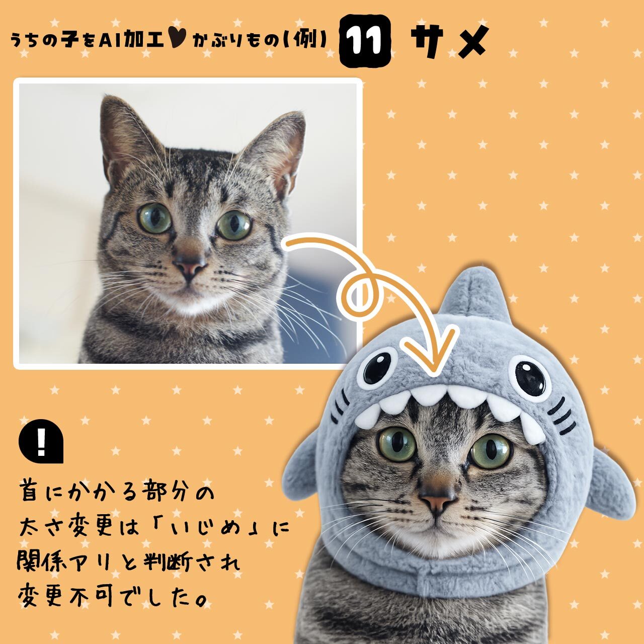 サメの被りもの★猫さん