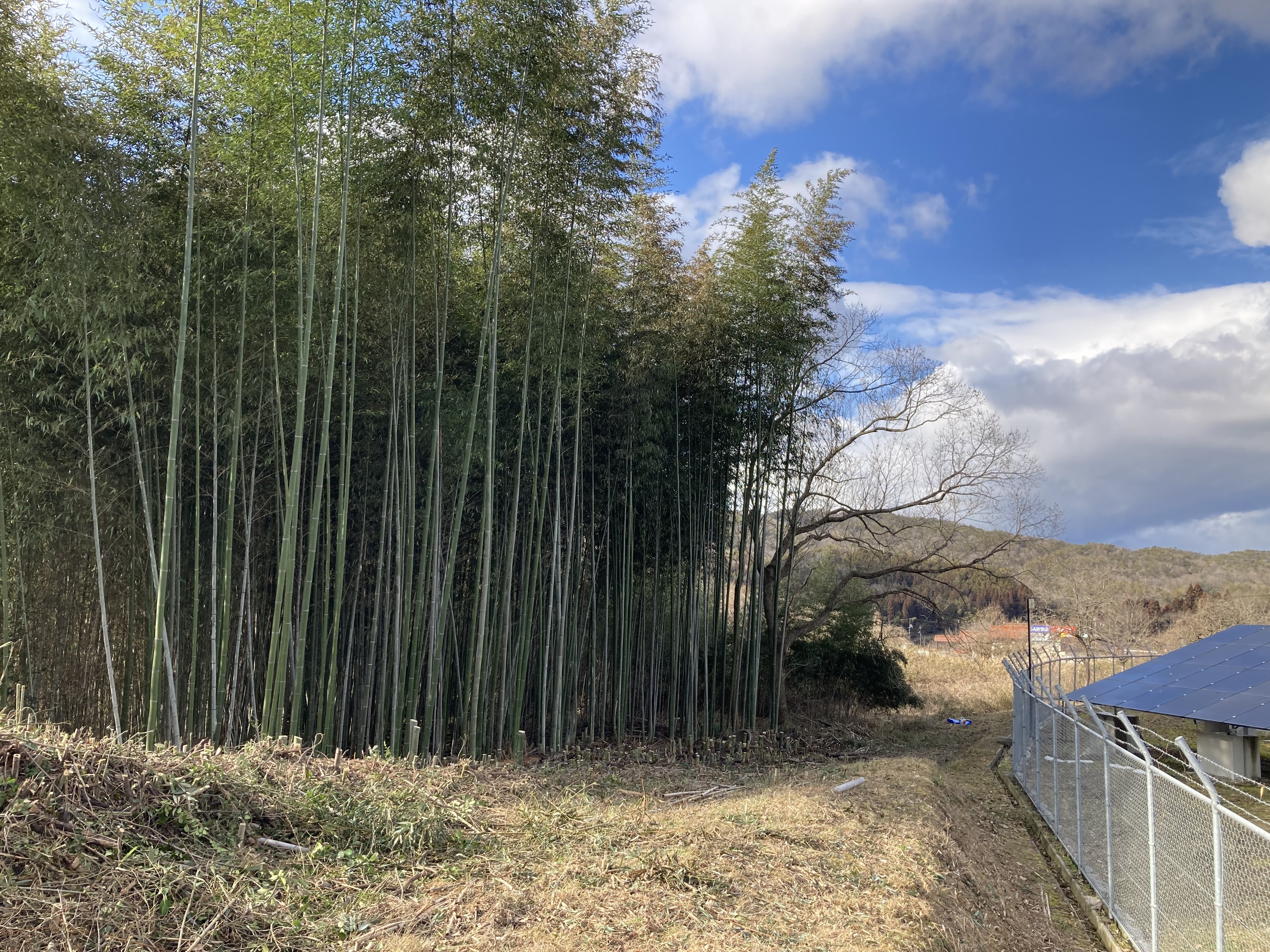 整備作業を通して出た竹材や木材を肥料の原料に使用。里山の景観も美しく