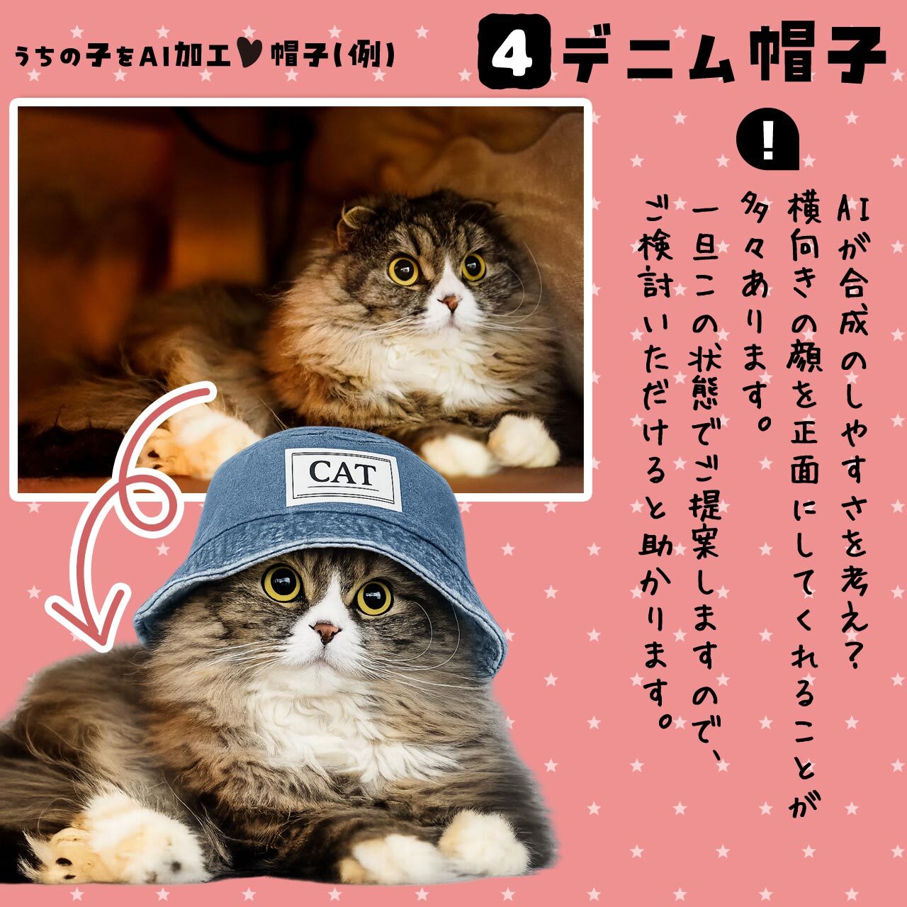 猫さんにデニムの帽子を