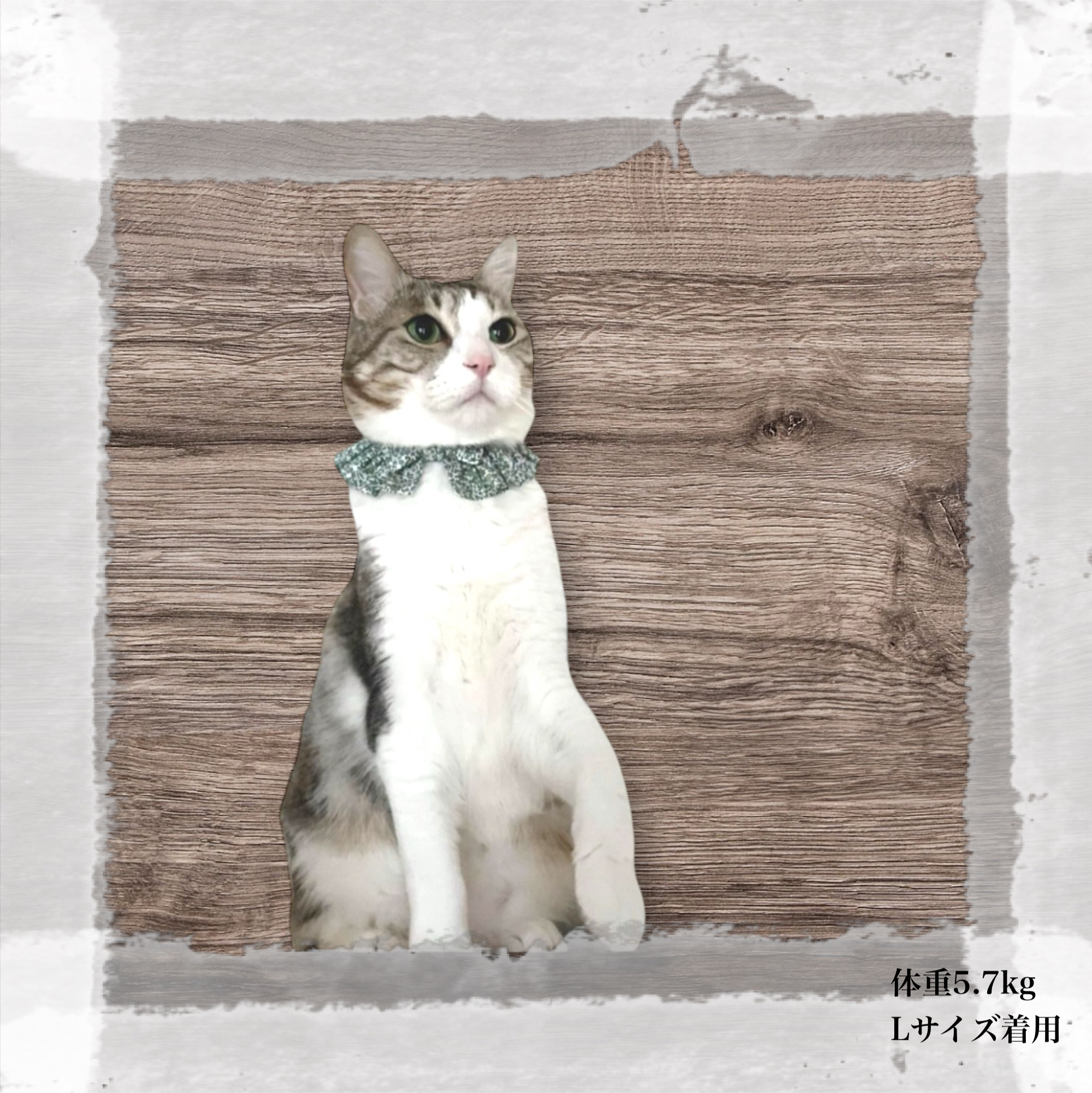 愛犬、愛猫大好き (*^^*)様専用、ロラライハリスハンドメイド、バス型バニティ バッグ