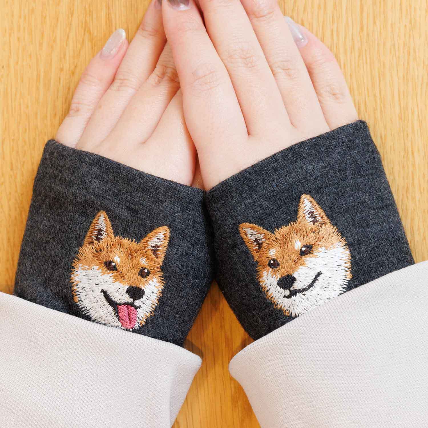 キリッと可愛い柴犬