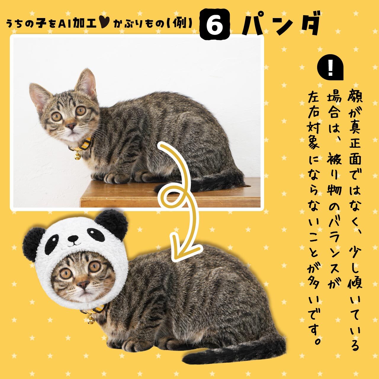 パンダのかぶりもの★猫さん