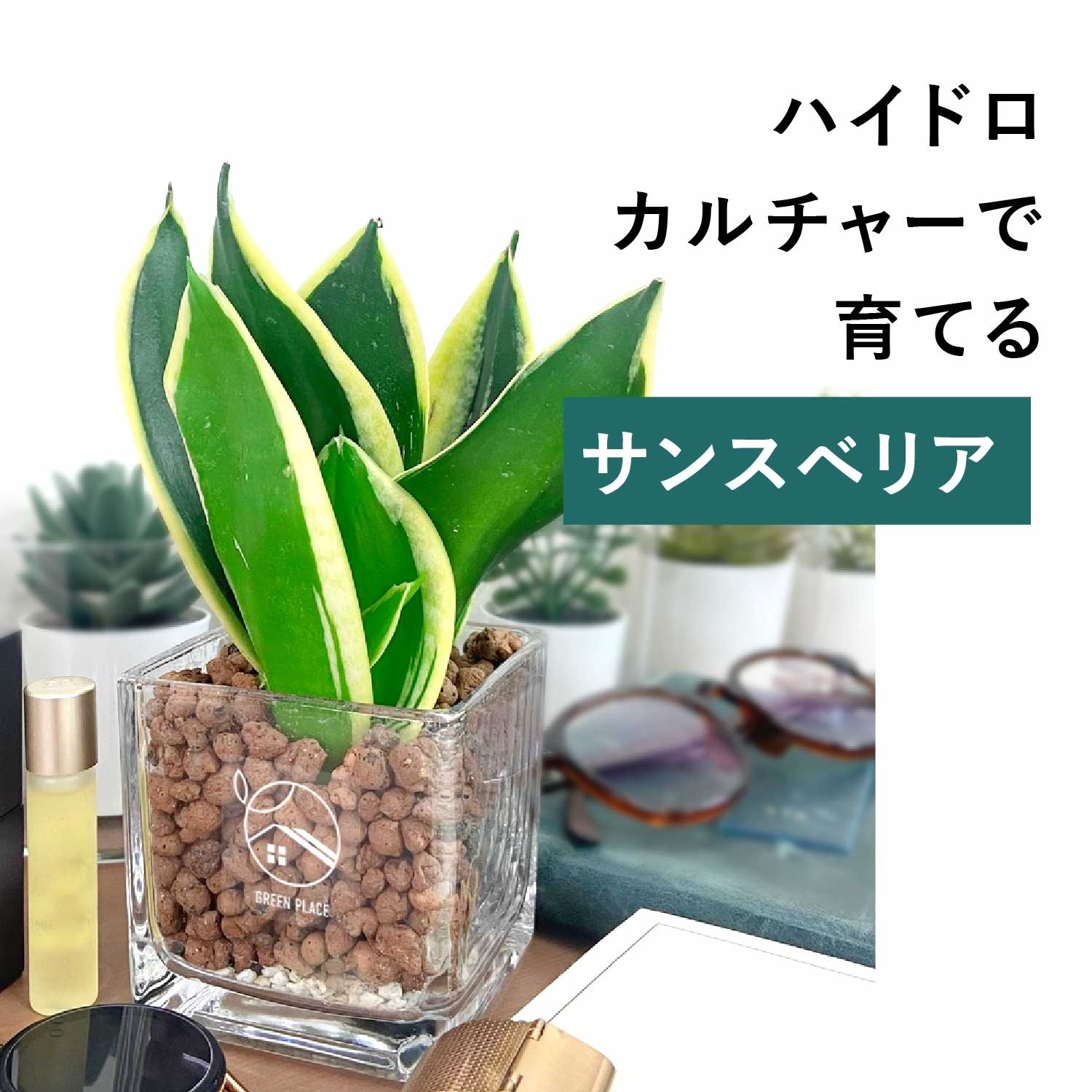 キューブ（四角）型の器