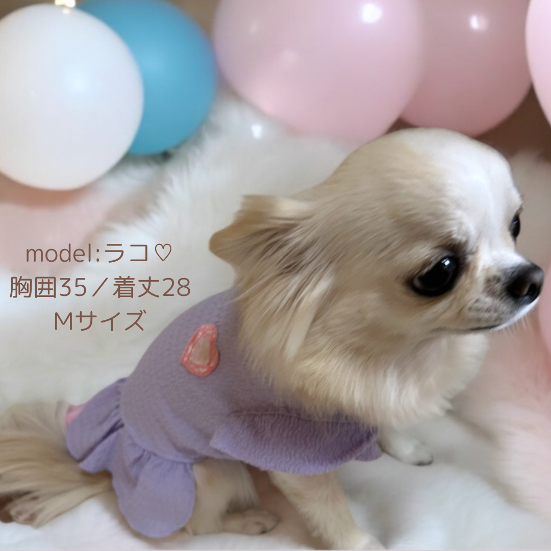 パープル