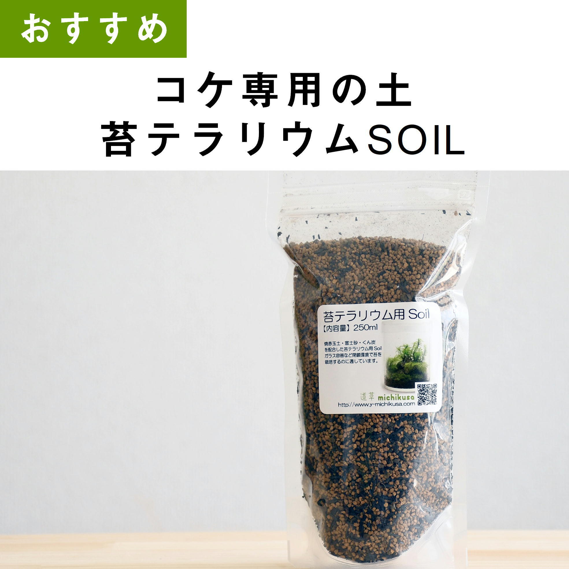 スナゴケ 苔テラリウム作製用素材苔 苔テラリウム専門ショップ道草 スナゴケ 苔テラリウム作製用素材苔 苔テラリウム専門ショップ道草