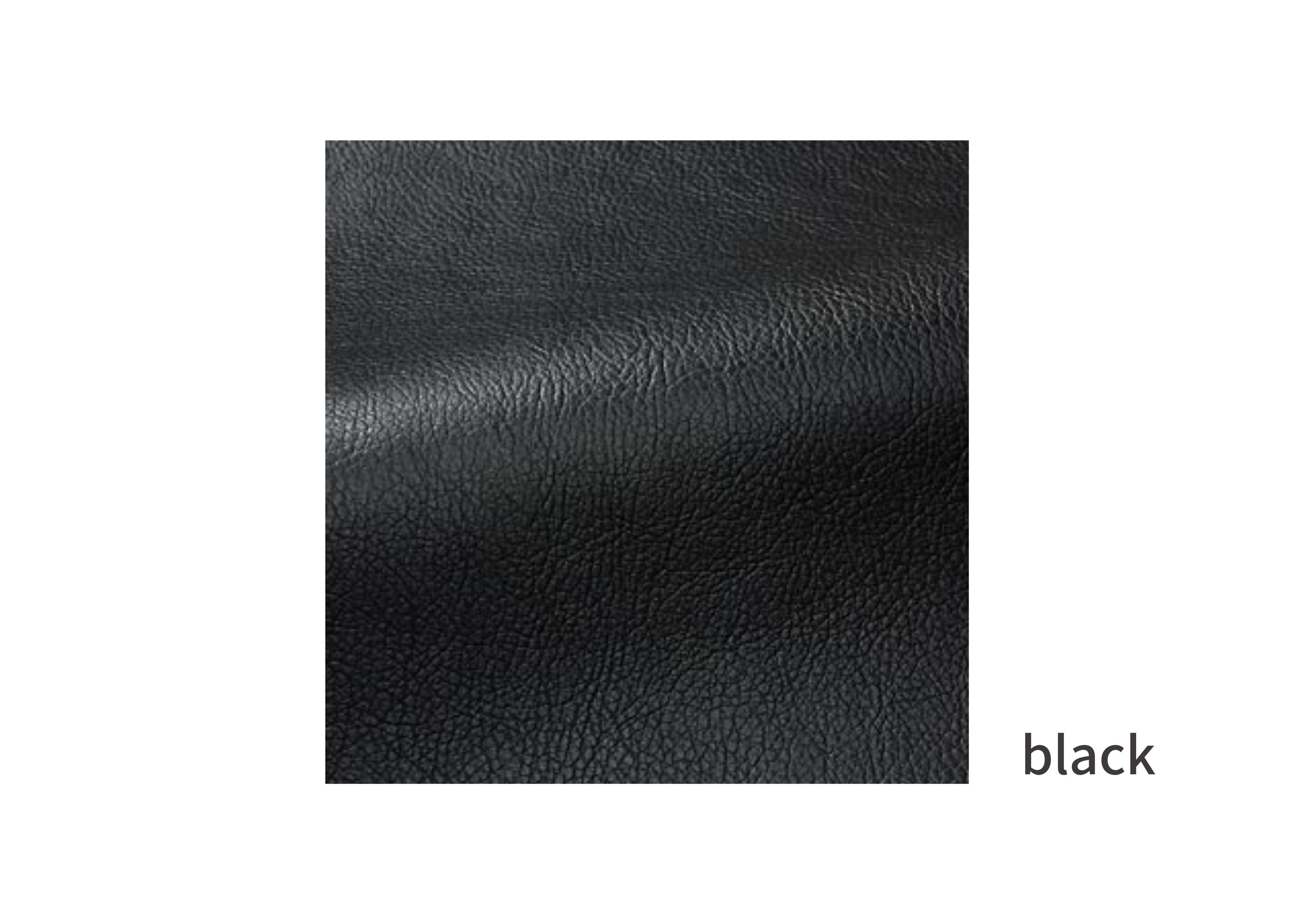 L-2466：ブラック