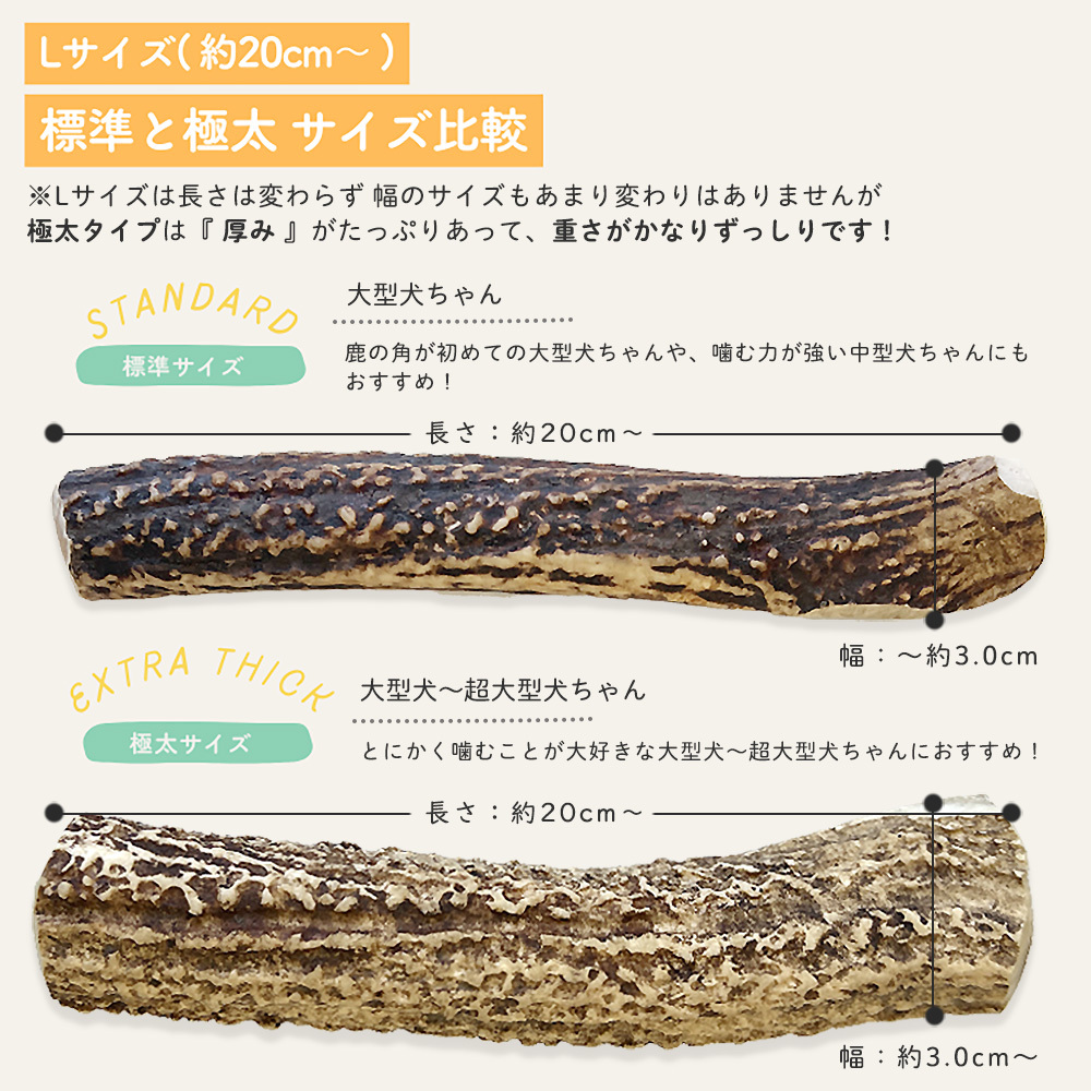 【 標準 】と【極太】サイズ比較