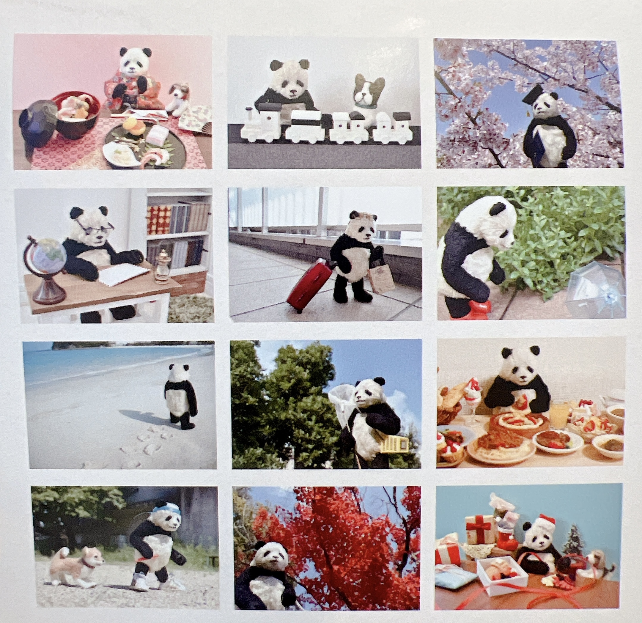 季節を感じる12枚