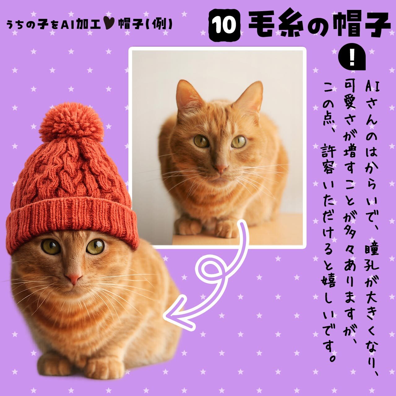 毛糸の帽子★猫さん
