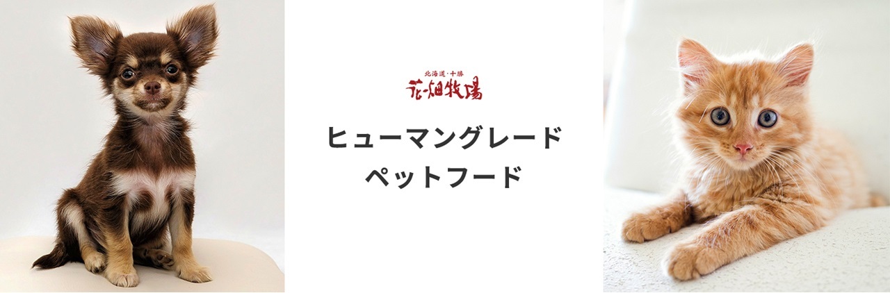 北海道かぼちゃのクッキー   40g × ２袋