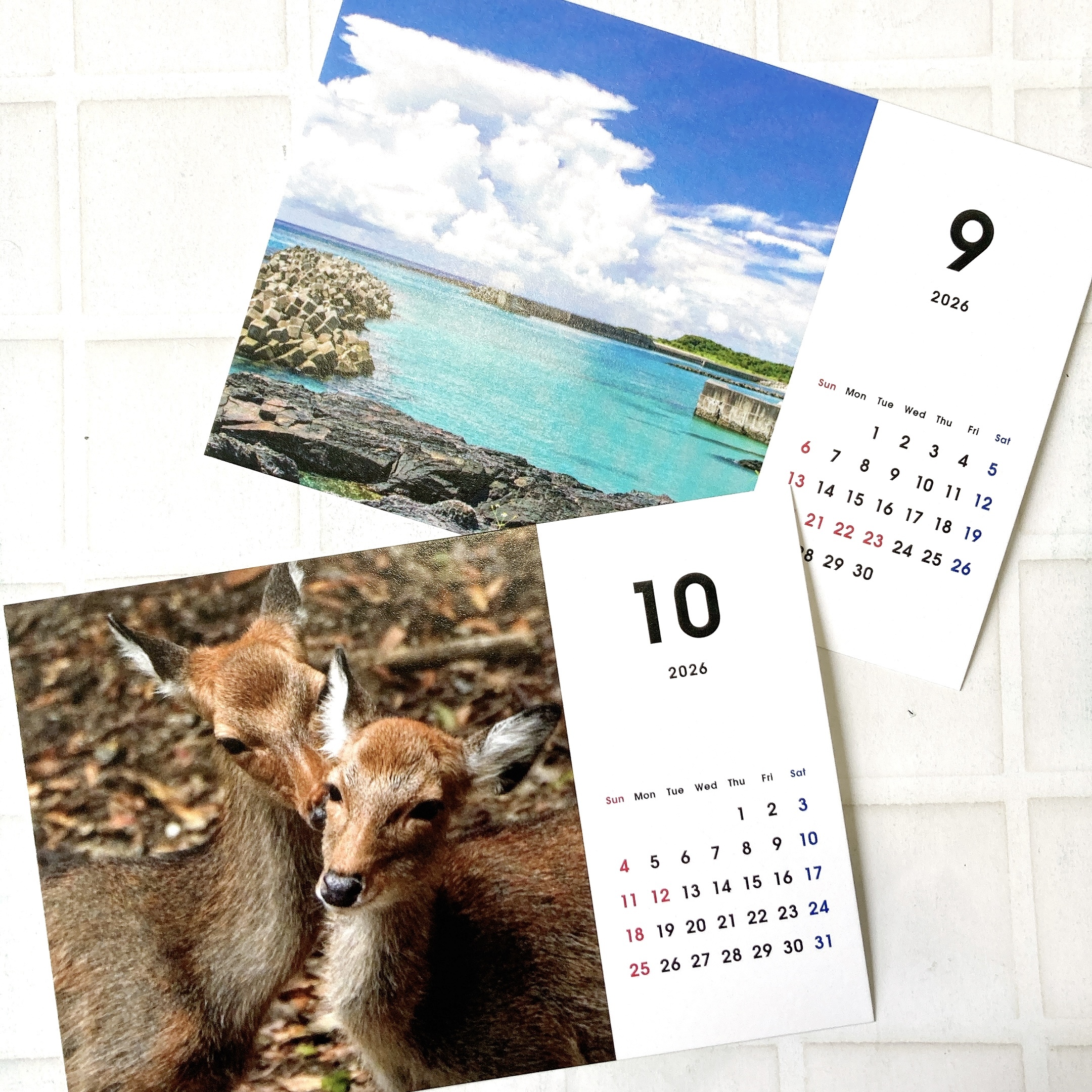 9月夏の景色の初秋　10月恋の季節！？