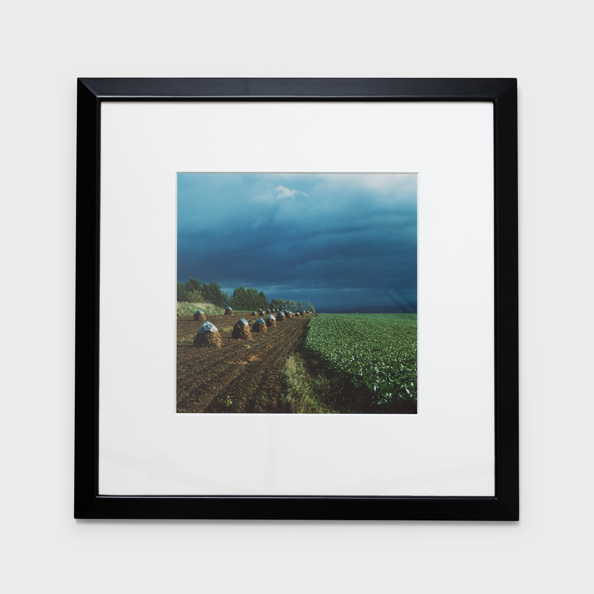 2　青い雲　1987年9月上旬　美瑛町