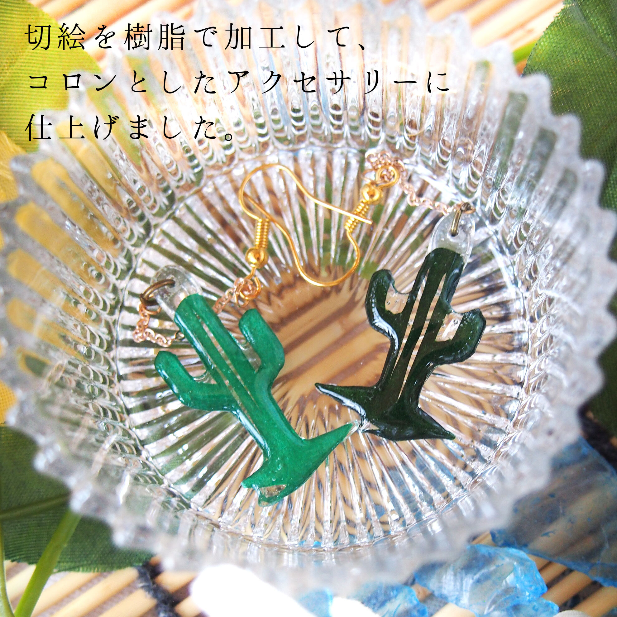 サボテンにょきにょき