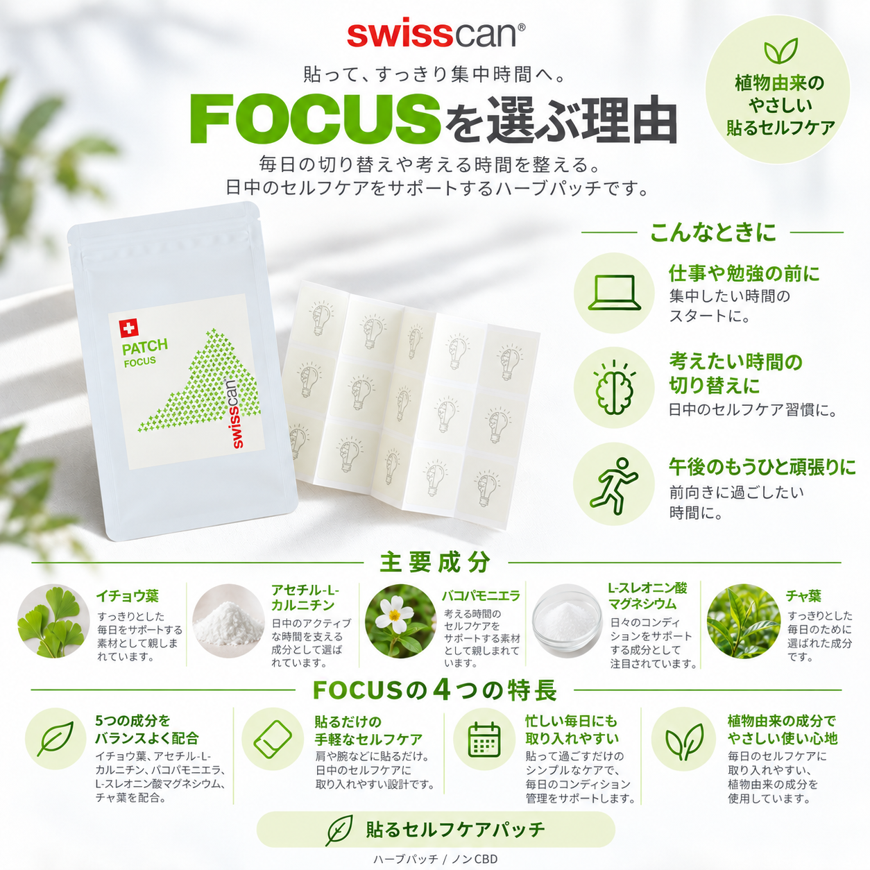 FOCUSを選ぶ理由