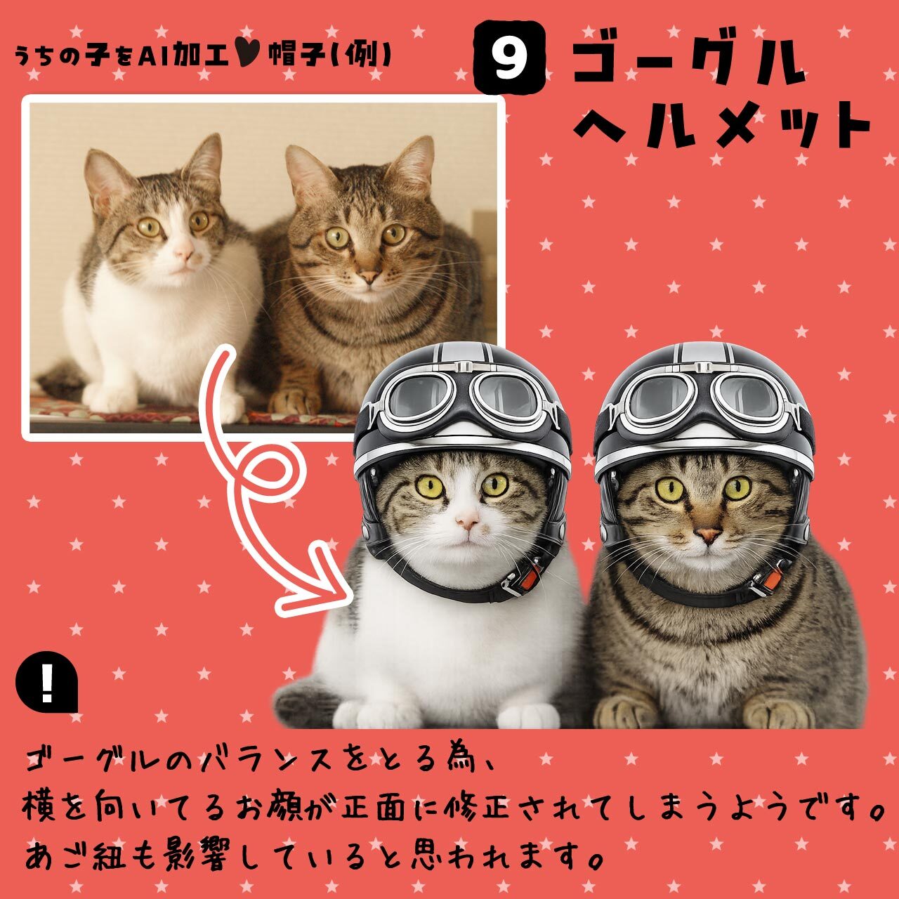 猫さんにゴーグルヘルメット