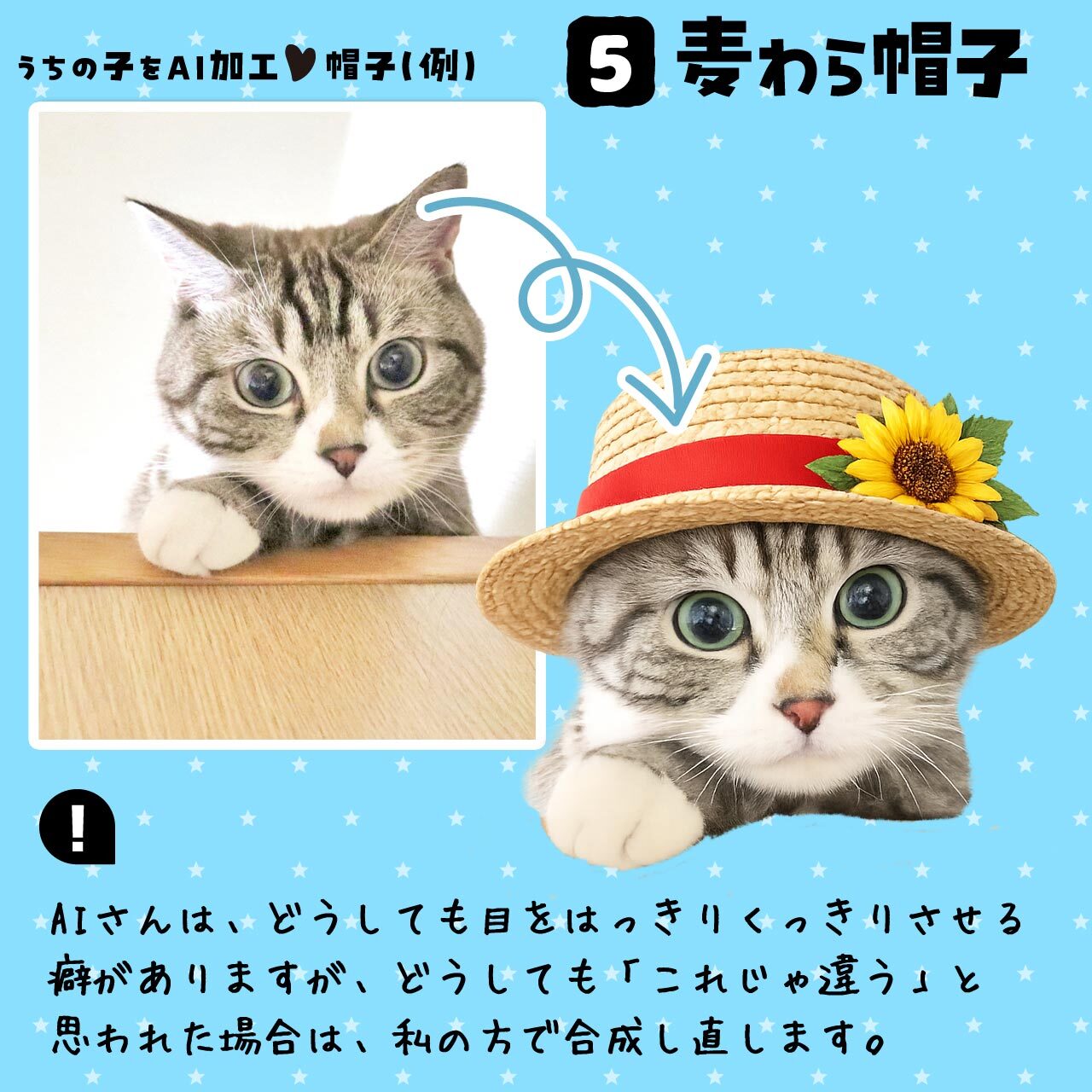 麦わら帽子★猫さん