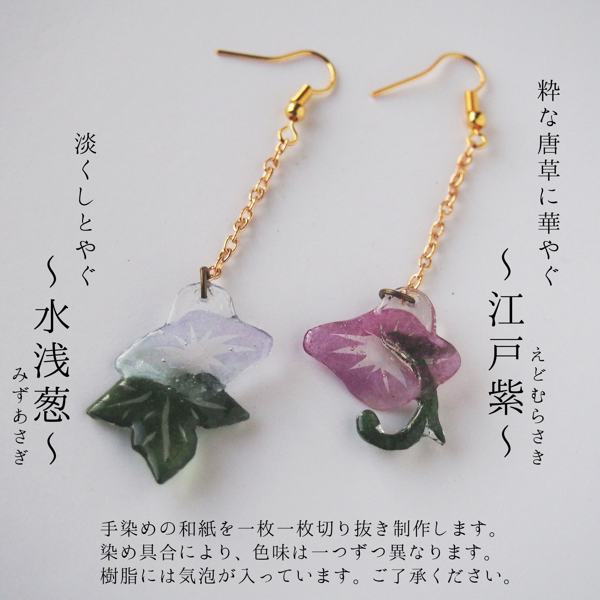 夏限定の朝顔は2色展開