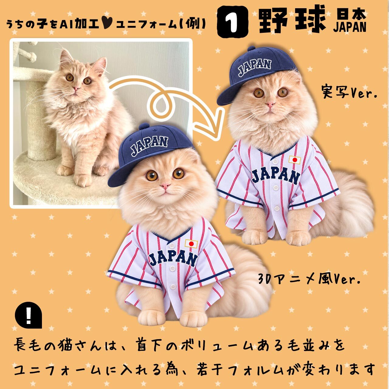 野球ファンの猫さん