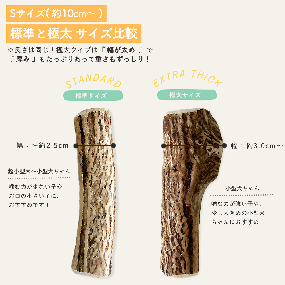 【 標準 】と【極太】サイズ比較