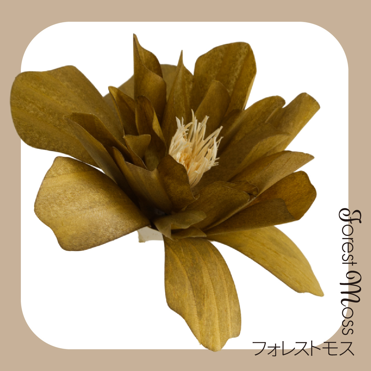 深い森の苔を思わせるスモーキーグリーン。ナチュラルな空間に馴染み、お部屋に森林浴のような癒やしを。