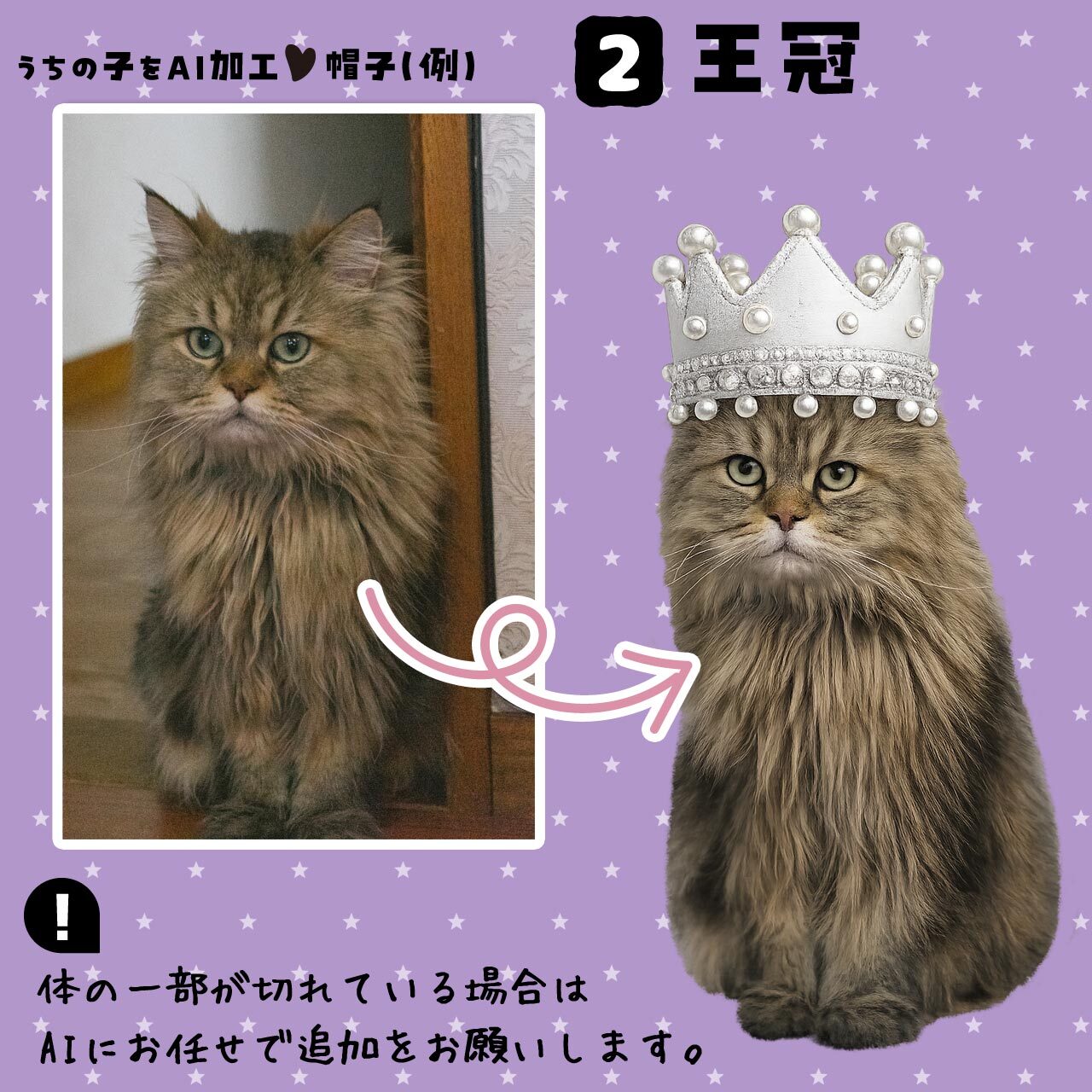 愛猫さんに王冠を