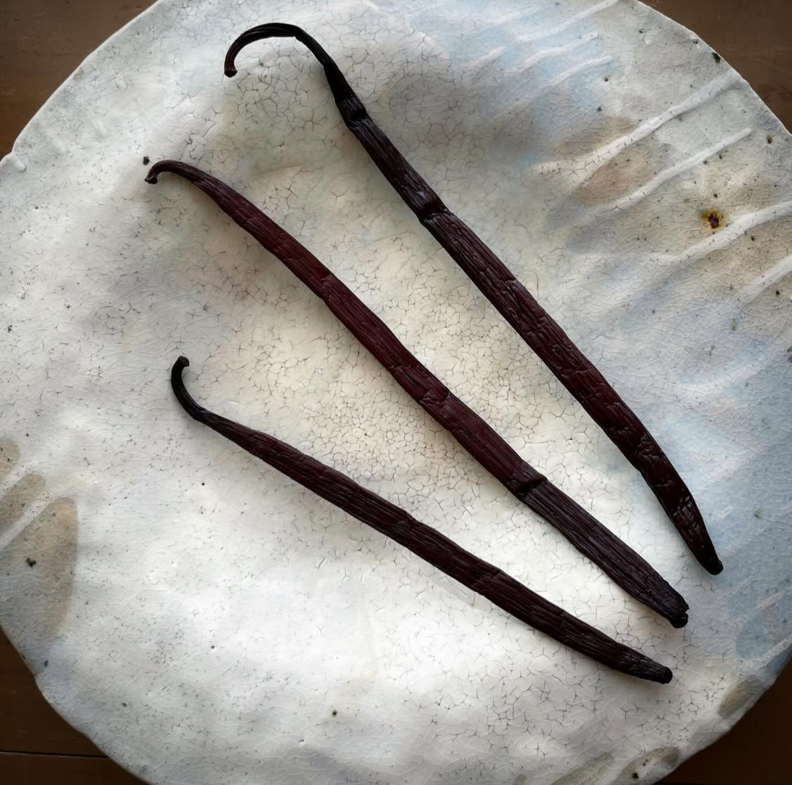 長さ20cm以上もある、とても立派なバニラのさや。